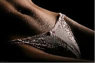Bodyparts