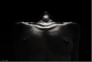 Bodyparts