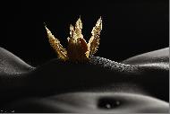 Bodyparts